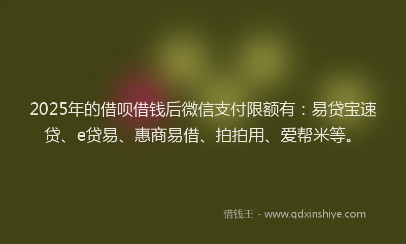2025年的借呗借钱后微信支付限额有：易贷宝速贷、e贷易、惠商易借、拍拍用、爱帮米等。
