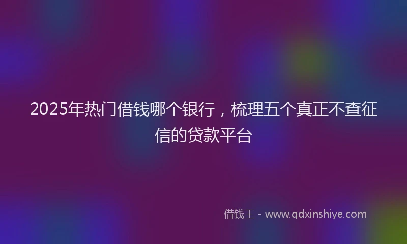 2025年热门借钱哪个银行，梳理五个真正不查征信的贷款平台