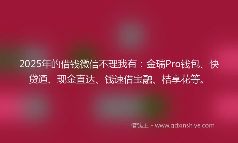 2025年的借钱微信不理我有：金瑞Pro钱包、快贷通、现金直达、钱速借宝融、桔享花等。