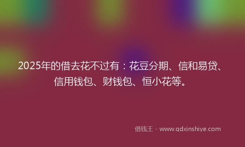 2025年的借去花不过有：花豆分期、信和易贷、信用钱包、财钱包、恒小花等。