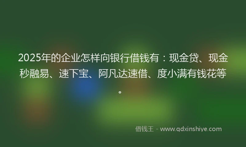 2025年的企业怎样向银行借钱有：现金贷、现金秒融易、速下宝、阿凡达速借、度小满有钱花等。