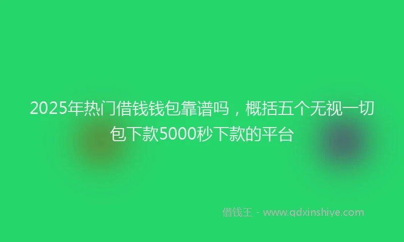 2025年热门借钱钱包靠谱吗，概括五个无视一切包下款5000秒下款的平台