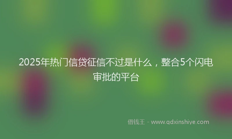 2025年热门信贷征信不过是什么，整合5个闪电审批的平台
