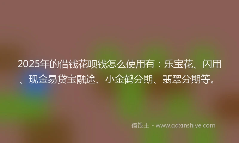2025年的借钱花呗钱怎么使用有：乐宝花、闪用、现金易贷宝融途、小金鹤分期、翡翠分期等。