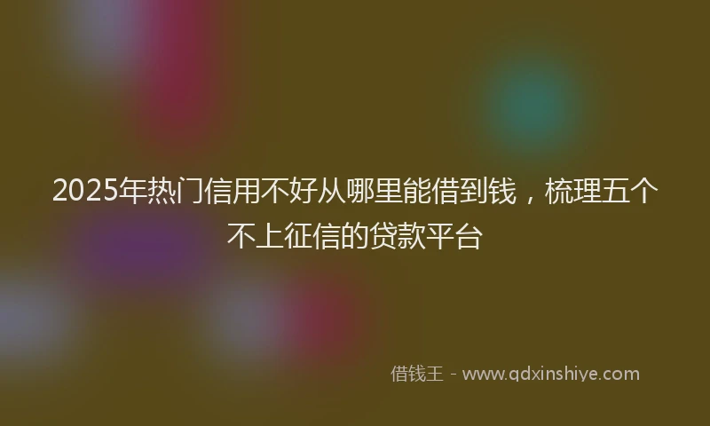 2025年热门信用不好从哪里能借到钱，梳理五个不上征信的贷款平台