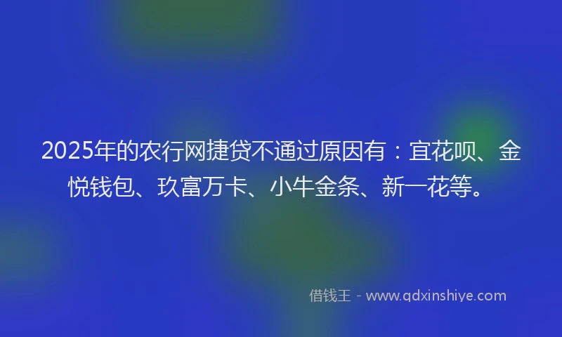 2025年的农行网捷贷不通过原因有：宜花呗、金悦钱包、玖富万卡、小牛金条、新一花等。