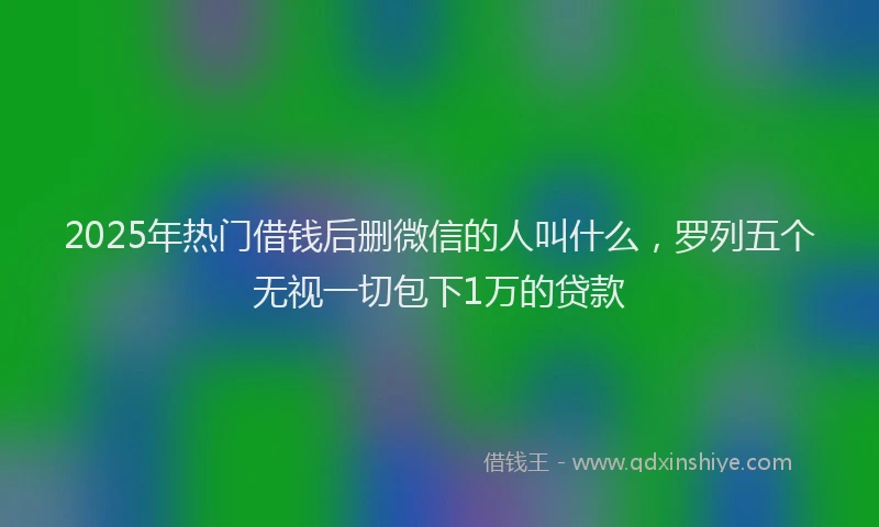2025年热门借钱后删微信的人叫什么，罗列五个无视一切包下1万的贷款