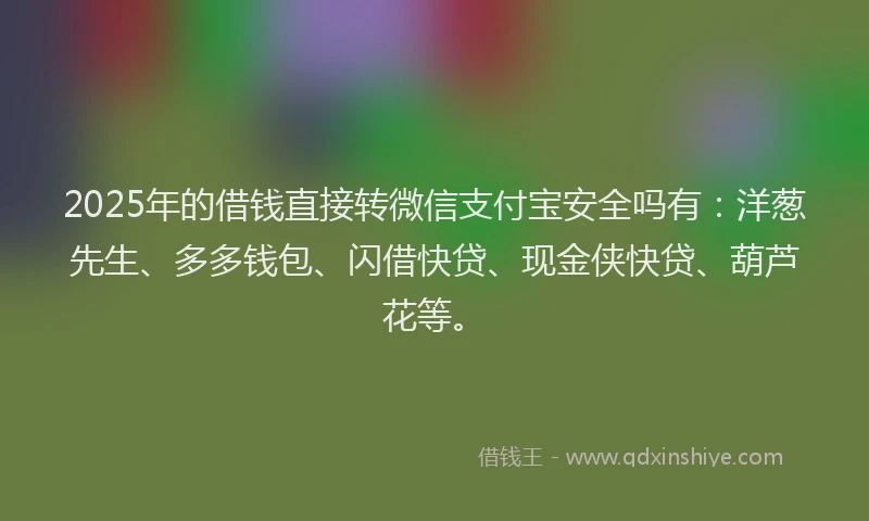 2025年的借钱直接转微信支付宝安全吗有：洋葱先生、多多钱包、闪借快贷、现金侠快贷、葫芦花等。
