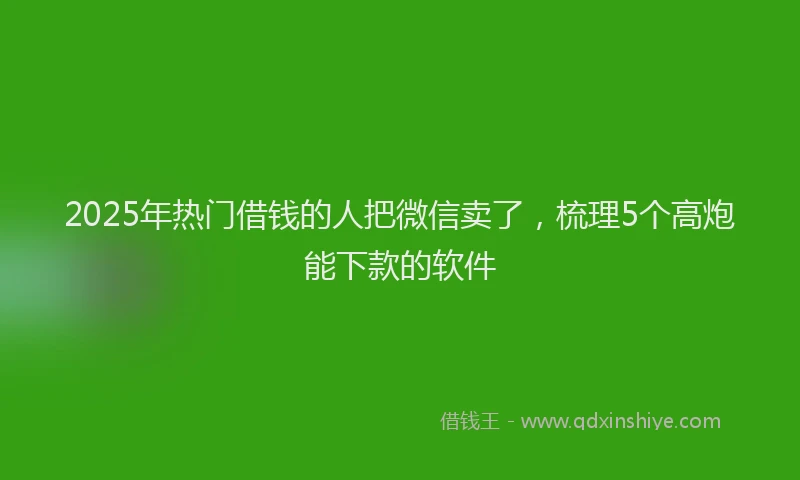 2025年热门借钱的人把微信卖了，梳理5个高炮能下款的软件