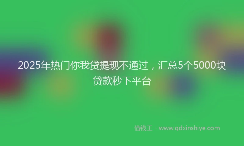 2025年热门你我贷提现不通过，汇总5个5000块贷款秒下平台