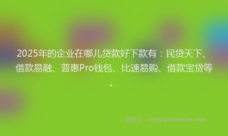 2025年的企业在哪儿贷款好下款有：民贷天下、借款易融、普惠Pro钱包、比速易购、借款宝贷等。