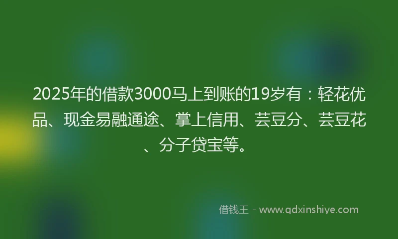 2025年的借款3000马上到账的19岁有：轻花优品、现金易融通途、掌上信用、芸豆分、芸豆花、分子贷宝等。