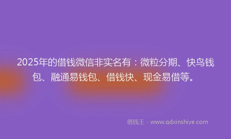 2025年的借钱微信非实名有：微粒分期、快鸟钱包、融通易钱包、借钱快、现金易借等。