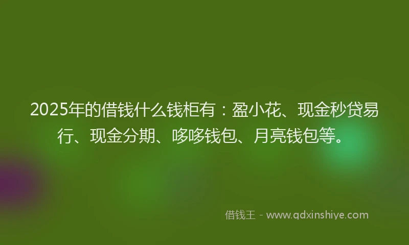 2025年的借钱什么钱柜有：盈小花、现金秒贷易行、现金分期、哆哆钱包、月亮钱包等。