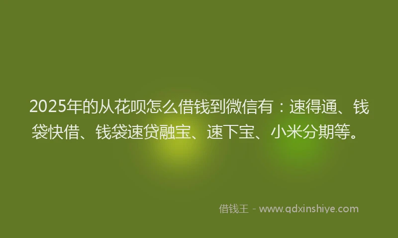 2025年的从花呗怎么借钱到微信有：速得通、钱袋快借、钱袋速贷融宝、速下宝、小米分期等。