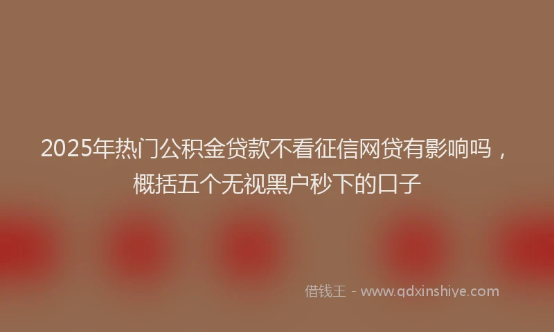 2025年热门公积金贷款不看征信网贷有影响吗，概括五个无视黑户秒下的口子