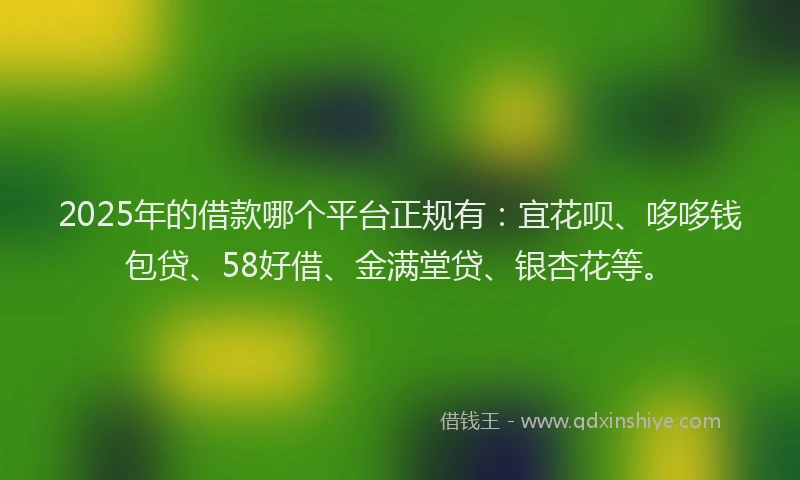 2025年的借款哪个平台正规有：宜花呗、哆哆钱包贷、58好借、金满堂贷、银杏花等。