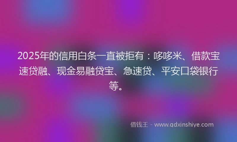 2025年的信用白条一直被拒有：哆哆米、借款宝速贷融、现金易融贷宝、急速贷、平安口袋银行等。