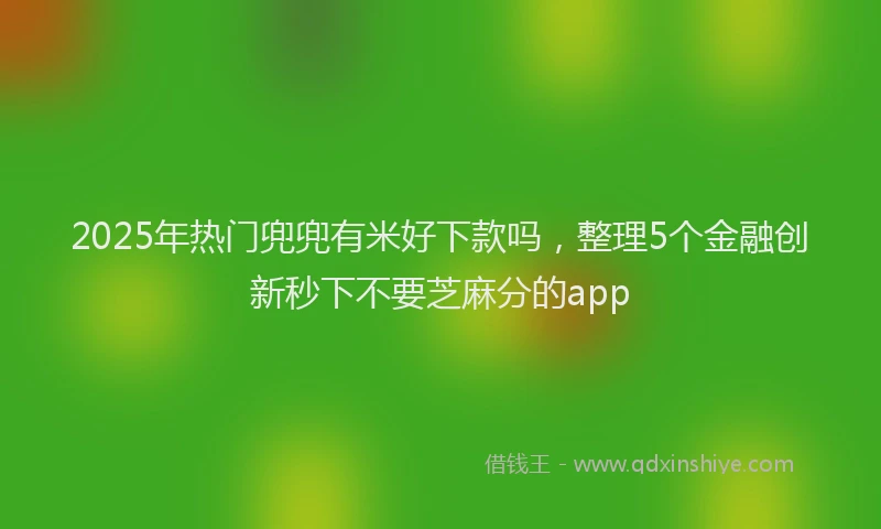 2025年热门兜兜有米好下款吗，整理5个金融创新秒下不要芝麻分的app