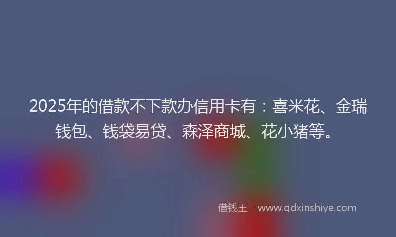 2025年的借款不下款办信用卡有：喜米花、金瑞钱包、钱袋易贷、森泽商城、花小猪等。