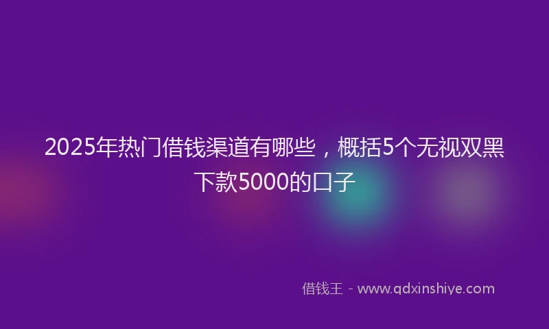 2025年热门借钱渠道有哪些，概括5个无视双黑下款5000的口子