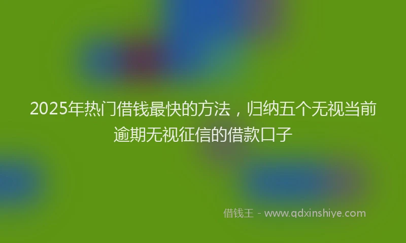 2025年热门借钱最快的方法，归纳五个无视当前逾期无视征信的借款口子