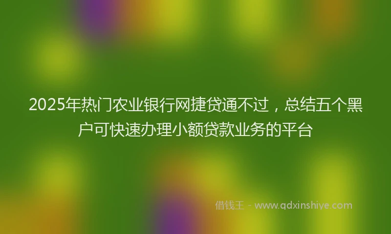2025年热门农业银行网捷贷通不过，总结五个黑户可快速办理小额贷款业务的平台