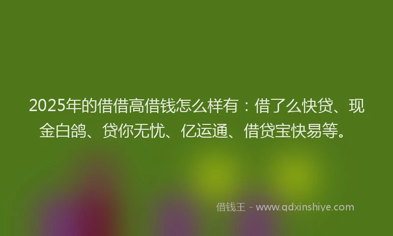 2025年的借借高借钱怎么样有：借了么快贷、现金白鸽、贷你无忧、亿运通、借贷宝快易等。