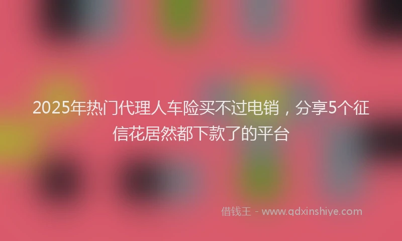 2025年热门代理人车险买不过电销，分享5个征信花居然都下款了的平台