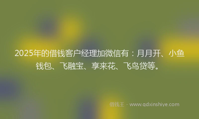 2025年的借钱客户经理加微信有：月月开、小鱼钱包、飞融宝、享来花、飞鸟贷等。