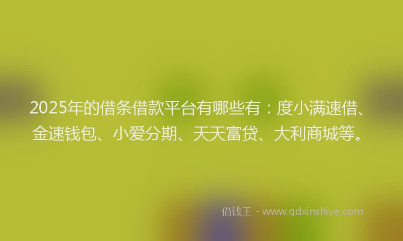 2025年的借条借款平台有哪些有：度小满速借、金速钱包、小爱分期、天天富贷、大利商城等。