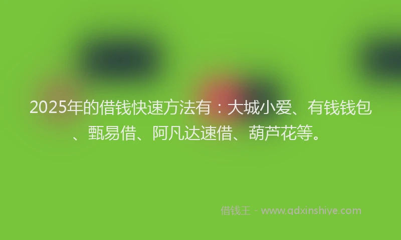 2025年的借钱快速方法有：大城小爱、有钱钱包、甄易借、阿凡达速借、葫芦花等。