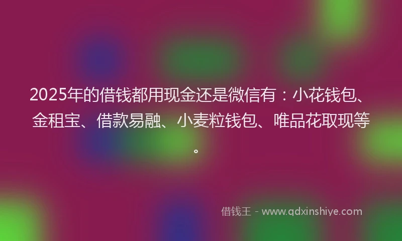 2025年的借钱都用现金还是微信有：小花钱包、金租宝、借款易融、小麦粒钱包、唯品花取现等。
