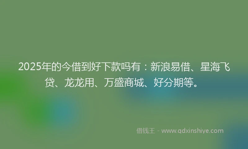2025年的今借到好下款吗有：新浪易借、星海飞贷、龙龙用、万盛商城、好分期等。