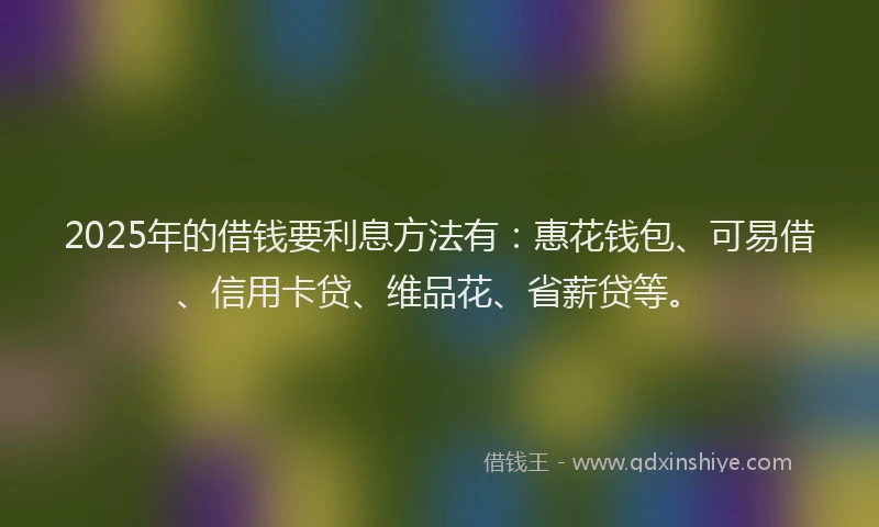 2025年的借钱要利息方法有：惠花钱包、可易借、信用卡贷、维品花、省薪贷等。