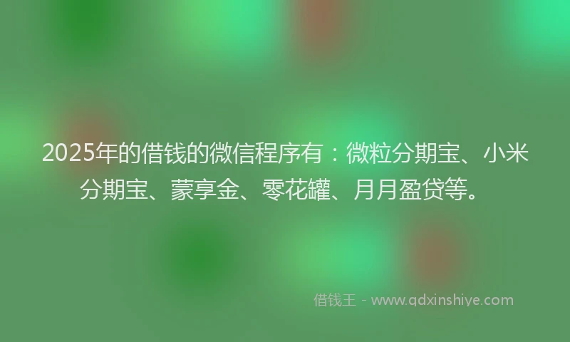 2025年的借钱的微信程序有：微粒分期宝、小米分期宝、蒙享金、零花罐、月月盈贷等。
