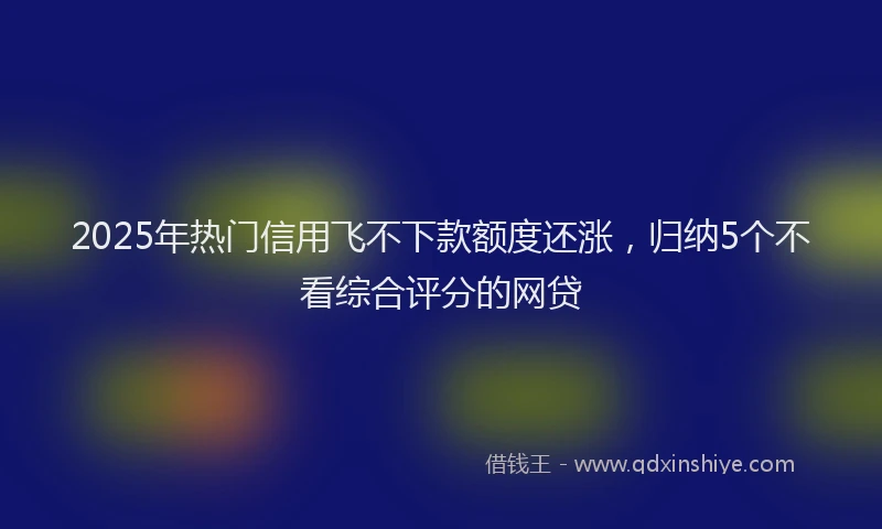 2025年热门信用飞不下款额度还涨，归纳5个不看综合评分的网贷