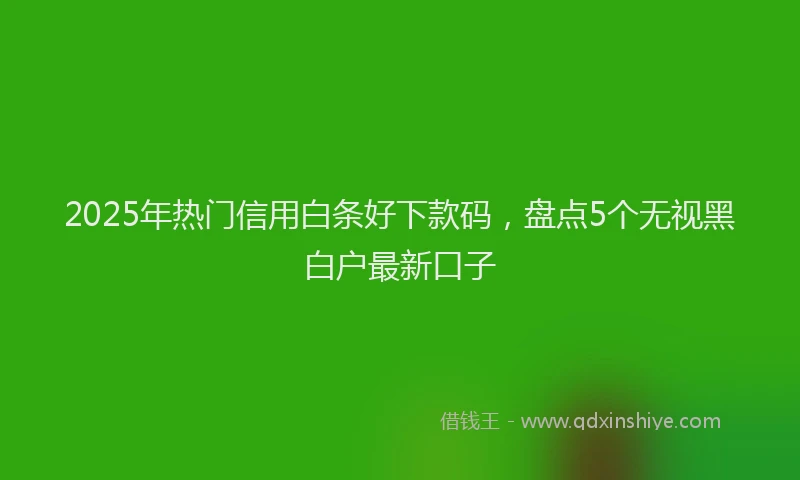 2025年热门信用白条好下款码，盘点5个无视黑白户最新口子
