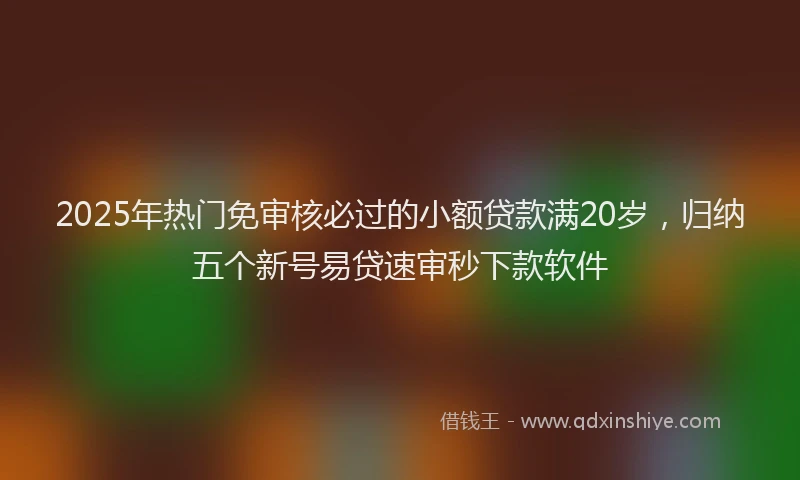 2025年热门免审核必过的小额贷款满20岁，归纳五个新号易贷速审秒下款软件