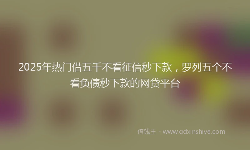 2025年热门借五千不看征信秒下款，罗列五个不看负债秒下款的网贷平台