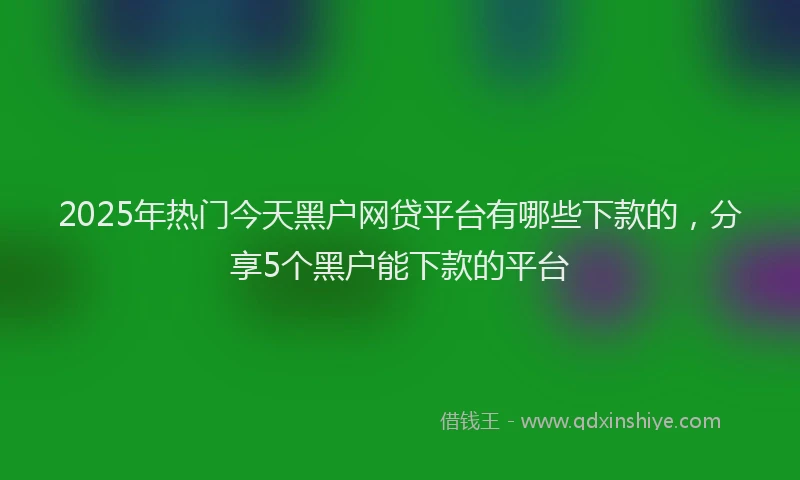 2025年热门今天黑户网贷平台有哪些下款的，分享5个黑户能下款的平台