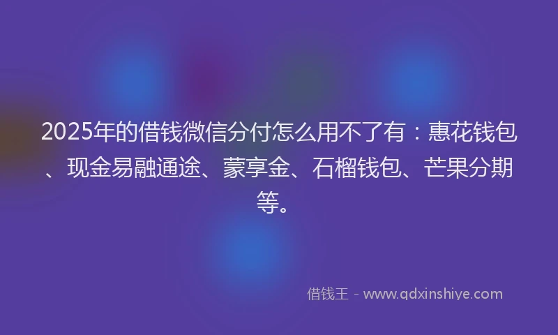 2025年的借钱微信分付怎么用不了有：惠花钱包、现金易融通途、蒙享金、石榴钱包、芒果分期等。