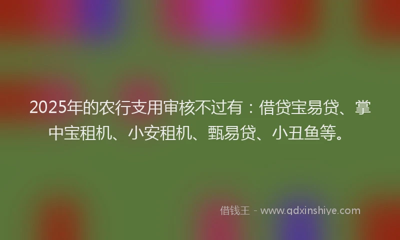 2025年的农行支用审核不过有：借贷宝易贷、掌中宝租机、小安租机、甄易贷、小丑鱼等。