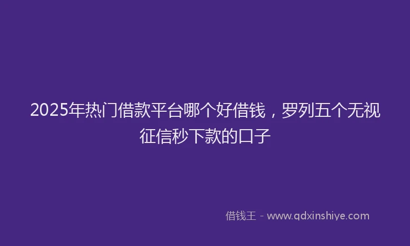 2025年热门借款平台哪个好借钱，罗列五个无视征信秒下款的口子