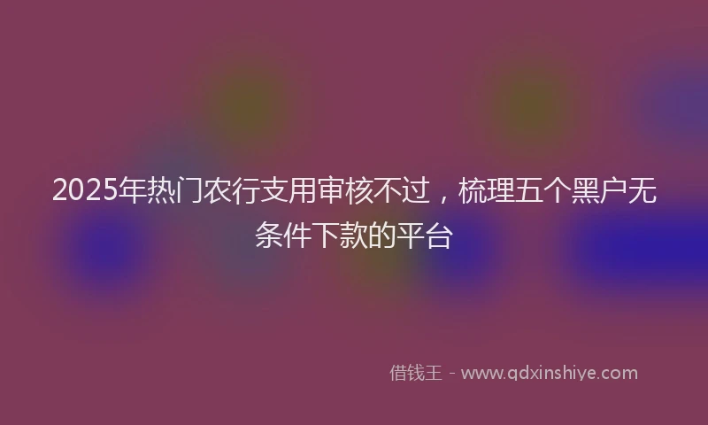 2025年热门农行支用审核不过，梳理五个黑户无条件下款的平台