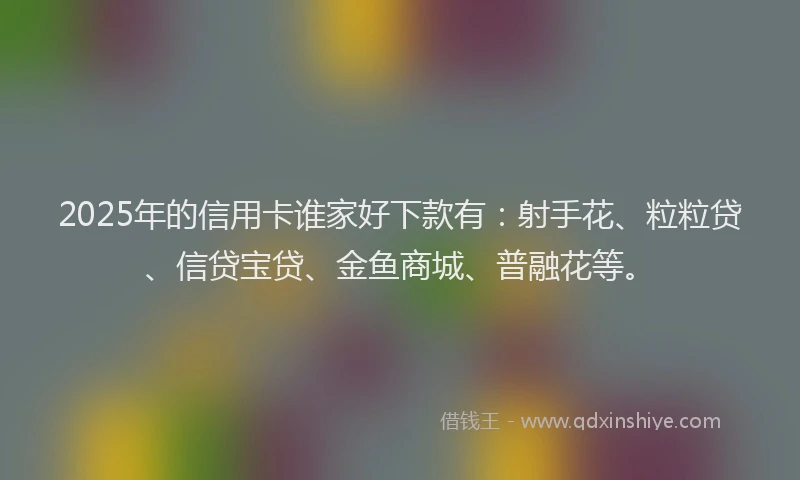 2025年的信用卡谁家好下款有：射手花、粒粒贷、信贷宝贷、金鱼商城、普融花等。
