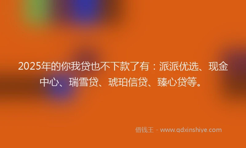 2025年的你我贷也不下款了有：派派优选、现金中心、瑞雪贷、琥珀信贷、臻心贷等。