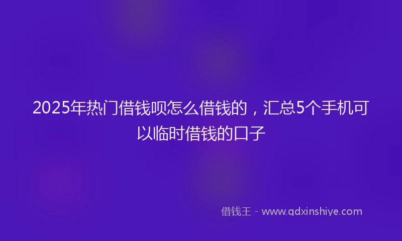 2025年热门借钱呗怎么借钱的，汇总5个手机可以临时借钱的口子