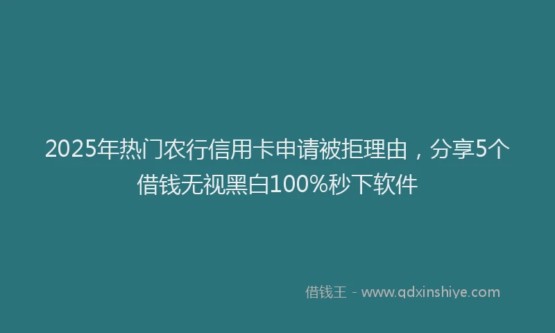 2025年热门农行信用卡申请被拒理由，分享5个借钱无视黑白100%秒下软件