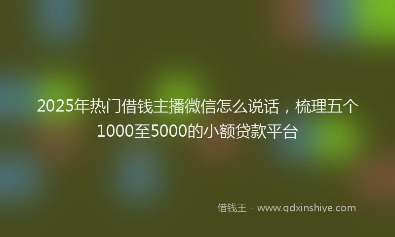 2025年热门借钱主播微信怎么说话，梳理五个1000至5000的小额贷款平台